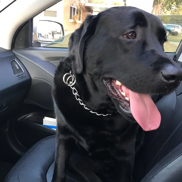 Meet your Posher, Jamie - Picture 6 of 12